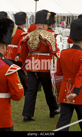 Cheetah avec fanfare uniforme de la peau Banque D'Images
