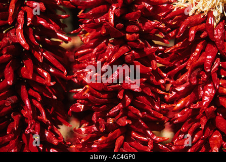 Chili ristras suspendu dans le centre-ville de Santa Fe, Nouveau Mexique. Banque D'Images