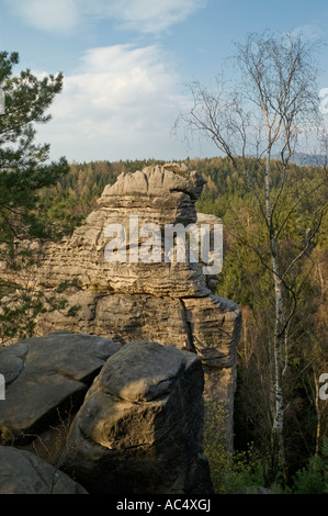 Prachovske skaly (roches Prachov) - parc national dans Bohemia en République Tchèque Banque D'Images