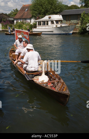 Augmenter la Swan River Thames Henley on Thames Berkshire Angleterre HOMER SYKES Banque D'Images