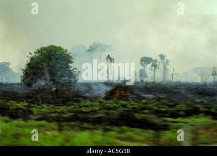 Amazon Brésil septembre 2002 brûlage forestier abattus le long de la route entre Rio Branco et Brasileia Acre province Banque D'Images