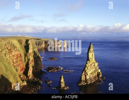dh DUNCANSBY TÊTE PILES DE CAITHNESS de Dunscansby et la côte nord de Knee 500 en écosse Banque D'Images