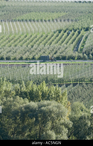 Transport de tracteurs dans les champs de pommes de Vinschgau pommiers, Alto Adige, Italie Banque D'Images