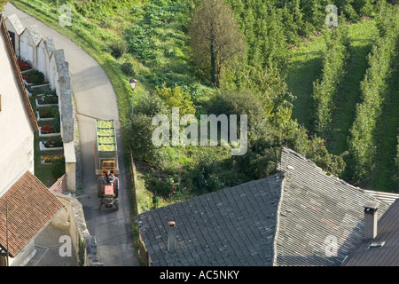 Le transport du tracteur à travers des rues de pommes Vinschgau Tiss village, Alto Adige, Italie Banque D'Images