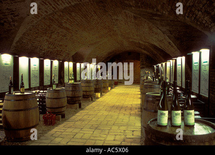 Cave à vin dans la ville de Krems an der Donau dans la vallée de la Wachau en Basse Autriche Autriche Europe Etat Banque D'Images