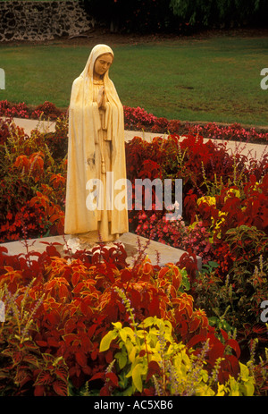 Statue de la Vierge Marie, statue, Vierge Marie, l'église du Saint-Esprit, Kula, Maui, Hawaii, united states Banque D'Images