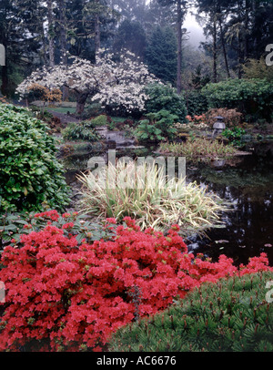 Shore Acres State Park jardin près de Coos Bay dans l'Oregon avec des fleurs de printemps le paysage à colorier Banque D'Images