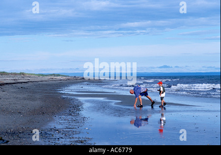 Père et fils à la découverte d'une plage déserte canada sur la baie des Chaleurs Banque D'Images