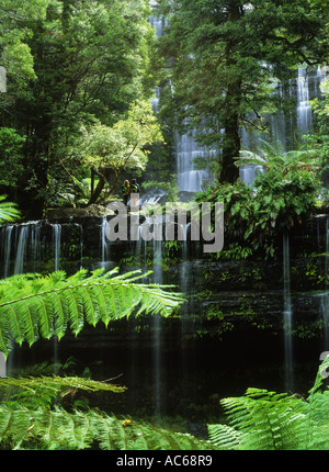 Couple à Russell Falls Mount Field National Park en Tasmanie en Australie Banque D'Images