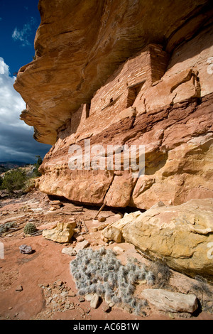 Des ruines indiennes dans la région de North Fork de Mule Canyon Cedar Mesa dans l'Utah, United States Banque D'Images
