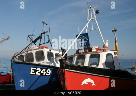 Bateaux de pêche Devon UK Angleterre Bière Banque D'Images