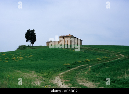 Cottage abandonné dans la campagne près de Pienza Toscane Italie Banque D'Images