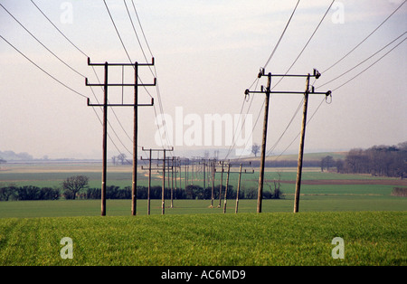 Les lignes électriques à travers un champ de Trimley Marais, Suffolk, UK. Banque D'Images