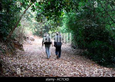 Chemin de randonnée à KUNTHIPUZHA SILENT VALLEY NATIONAL PARK PALAKKAD Dist. Banque D'Images