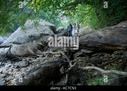 Chemin de randonnée à KUNTHIPUZHA SILENT VALLEY NATIONAL PARK PALAKKAD Dist. Banque D'Images