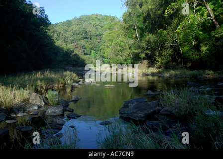 KUNTHIPUZHA SILENT VALLEY NATIONAL PARK PALAKKAD Dist. Banque D'Images