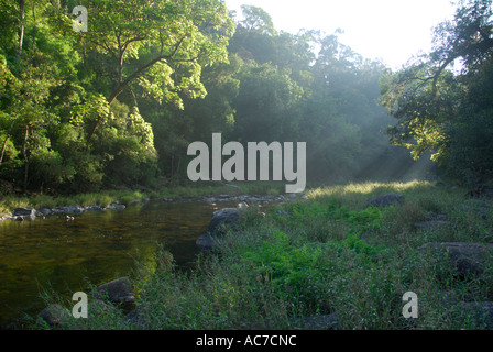 KUNTHIPUZHA SILENT VALLEY NATIONAL PARK PALAKKAD Dist. Banque D'Images