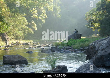 RIVERSIDE KUNTHIPUZHA SILENT VALLEY NATIONAL PARK PALAKKAD Dist. Banque D'Images