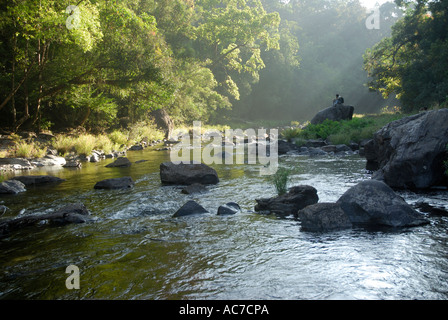 RIVERSIDE KUNTHIPUZHA SILENT VALLEY NATIONAL PARK PALAKKAD Dist. Banque D'Images