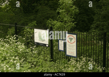 Kew Riverside Park sur la rive de la Tamise Londres Banque D'Images