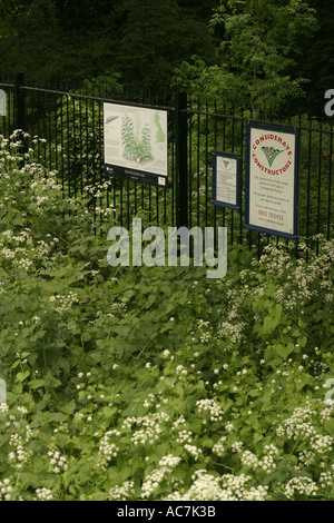 Kew Riverside Park sur la rive de la Tamise Londres Banque D'Images