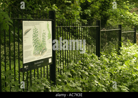 Kew Riverside Park sur la rive de la Tamise Londres Banque D'Images