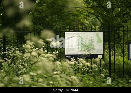 Kew Riverside Park sur la rive de la Tamise Londres Banque D'Images