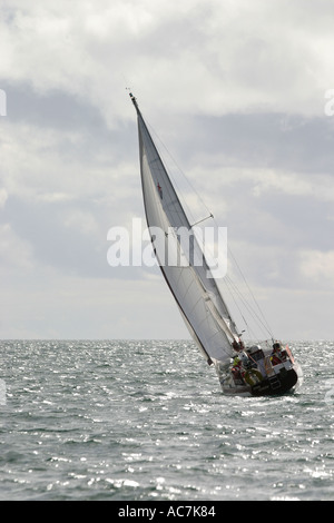 Location dans le Firth of Lorne SAC au large de la côte ouest d'Écosse. Ce disponibles s'appuie dans le vent qu'il négocie le Firth of Lorn. Banque D'Images