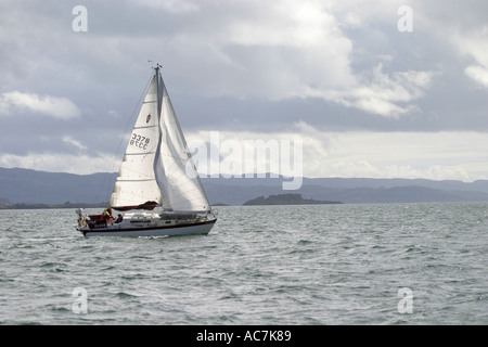 Location dans le Firth of Lorne SAC FEUILLES hors de la côte ouest d'Écosse Banque D'Images