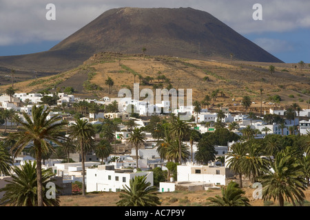 Haria Vallée de mille palmiers Lanzarote Iles Canaries Espagne Banque D'Images