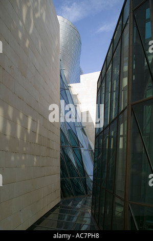 Vue extérieure du Musée Guggenheim de Bilbao, Pays Basque, Espagne Banque D'Images