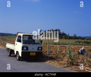 'K' petite camionnette avec moteur 660cc. Populaire avec les agriculteurs locaux sur l'île d'Okinawa Banque D'Images