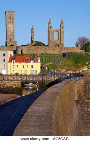 La cathédrale de St Andrews et de la Fife, SCOTLAND Banque D'Images