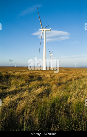 dh Causeymire Windfarm NPOWER ELECTRICITY CAITHNESS ÉCOSSE Scottish RWE renouvelables National Wind Farm Power turbine Flow pays Banque D'Images