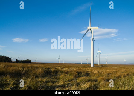 dh Causeymire Windfarm NPOWER ELECTRICITY CAITHNESS ECOSSE RWE renouvelables National Énergie éolienne ferme éolienne renouvelable pays de flux Banque D'Images