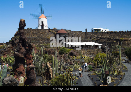 Dh jardin de cactus à GUATIZA LANZAROTE Touristes randonnée jardin de cactus cactus et moulin Banque D'Images