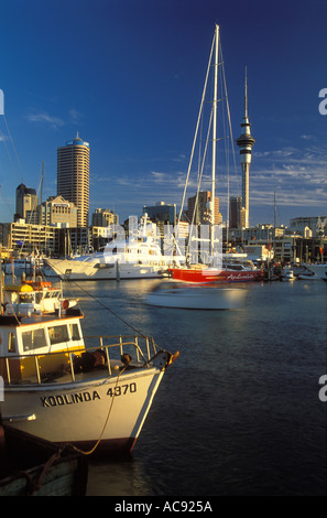 Le port d'Auckland New Zealand North Island Banque D'Images