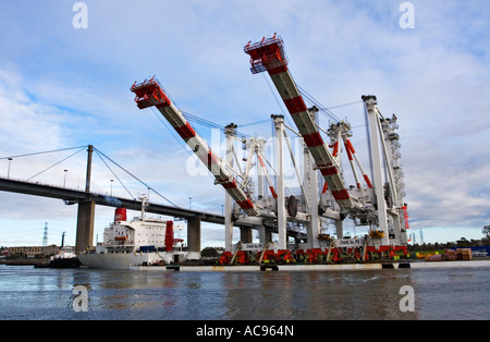 L'industrie du transport maritime / deux portiques à conteneurs géants arrivent dans le Port de Melbourne Victoria / Melbourne en Australie. Banque D'Images