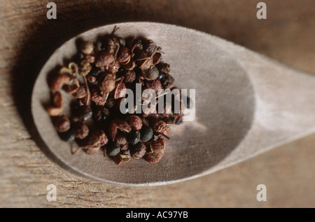 Poivre de Sichuan, poivre Szetchwan, Anis, poivre, poivre poivre Sprice chinois, japonais, japonais poivre prickly ash (Zanthoxyl Banque D'Images