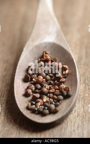 Poivre de Sichuan, poivre Szetchwan, Anis, poivre, poivre poivre Sprice chinois, japonais, japonais poivre prickly ash (Zanthoxyl Banque D'Images