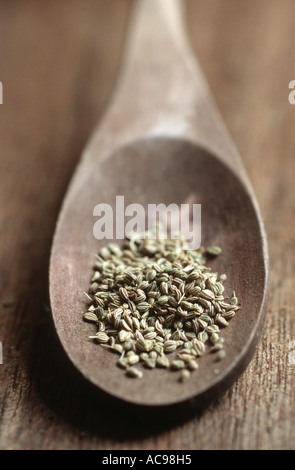 Jardin de la vessie, la livèche Levisticum officinale (semences), sélection sur spoon Banque D'Images