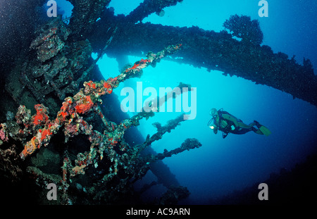 Scuba Diver plongée sur épave Umbria Soudan du Sud Mer Rouge Wingate Reef Banque D'Images