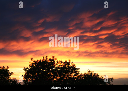 Ciel spectaculaire au coucher du soleil avec des nuages ardents sur des arbres silhouettes. Banque D'Images