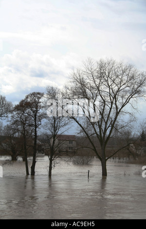 Paysage inondé près de Melnik République tchèque avec des eaux montantes couvrant des champs et des arbres sous un ciel nuageux spectaculaire mettant en valeur la puissance de la nature. Banque D'Images