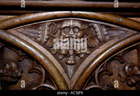 Green man stalles du choeur st nicholas blakeney norfolk angleterre Banque D'Images