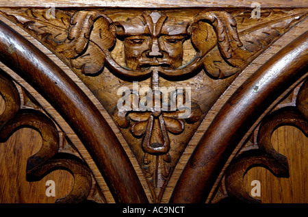 Green man stalles du choeur st nicholas blakeney norfolk angleterre Banque D'Images