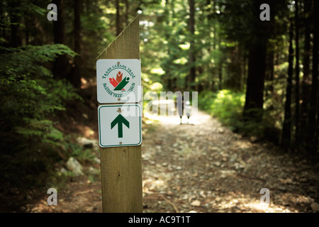 Trans Canada Trail en montagne Cypress West Vancouver British Columbia Canada sur une journée de printemps ensoleillée Banque D'Images