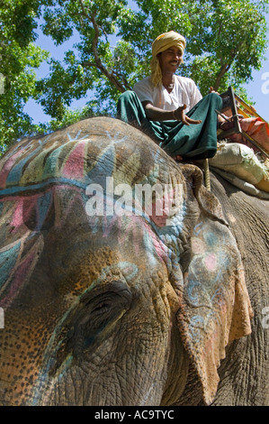 Close up of a smiling mahout sur le dessus de son éléphant peint l'amble dans les rues d'Udaipur espionnant pour l'entreprise. Banque D'Images