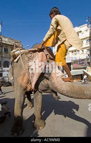 Un Cornac grimper son d'éléphant d'obtenir des "à bord". Banque D'Images