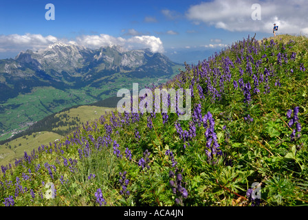 Saentis peak, avec 2501 m la plus haute montagne dans la gamme de l'Alpstein, cantons Appenzell Rhodes-Extérieures, Appenzell Rhodes-Intérieures et Banque D'Images